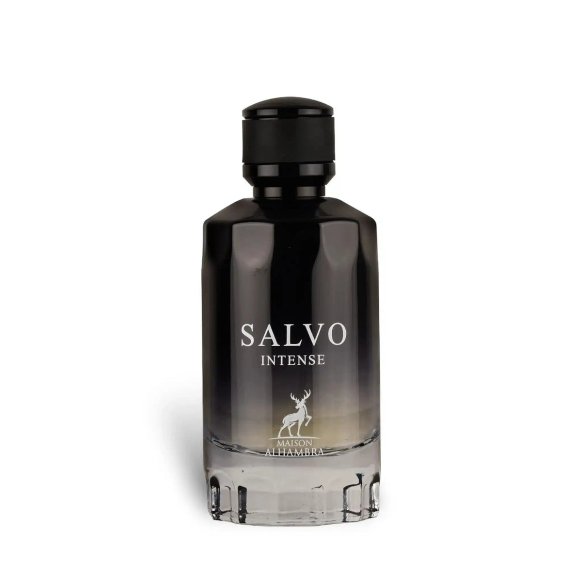 Salvo Intense – Maison Alhambra