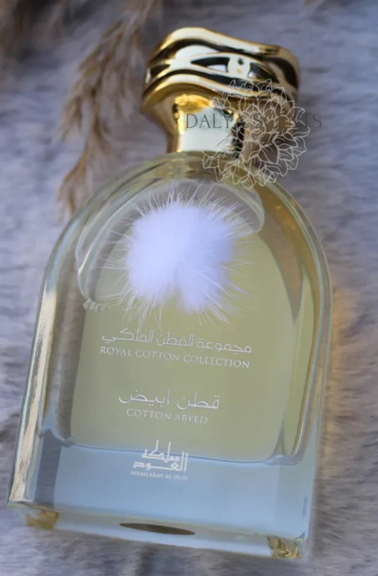 Cotton Abyed – Mamlakat Al Oud
